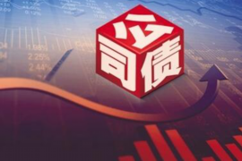 振安专业讨债公司，追讨消失的老赖